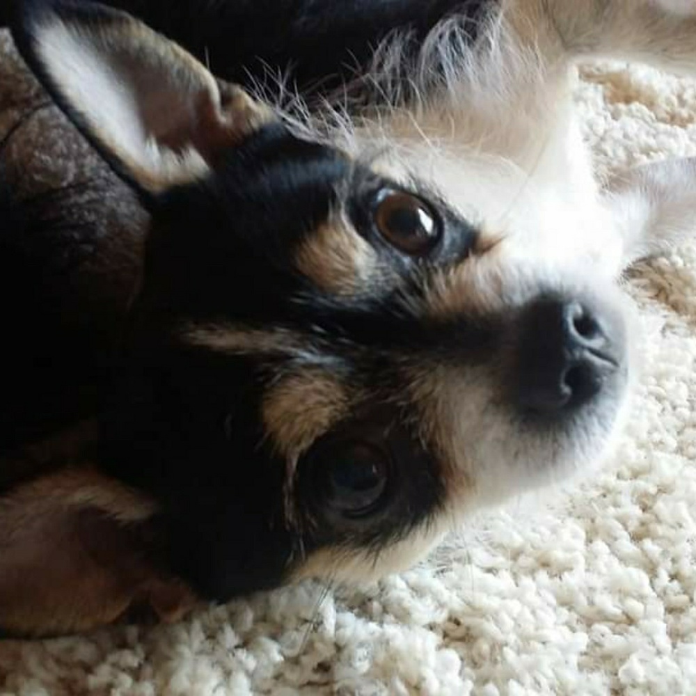 Meet your Posher, Tammy